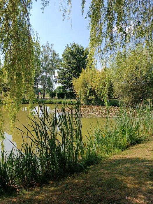 Comme A La Maison Pres Des Chateaux De La Loire Feings  ภายนอก รูปภาพ