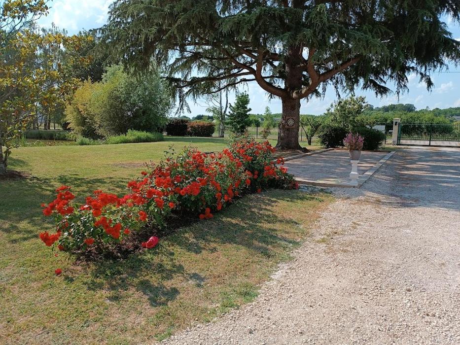 Comme A La Maison Pres Des Chateaux De La Loire Feings  ภายนอก รูปภาพ