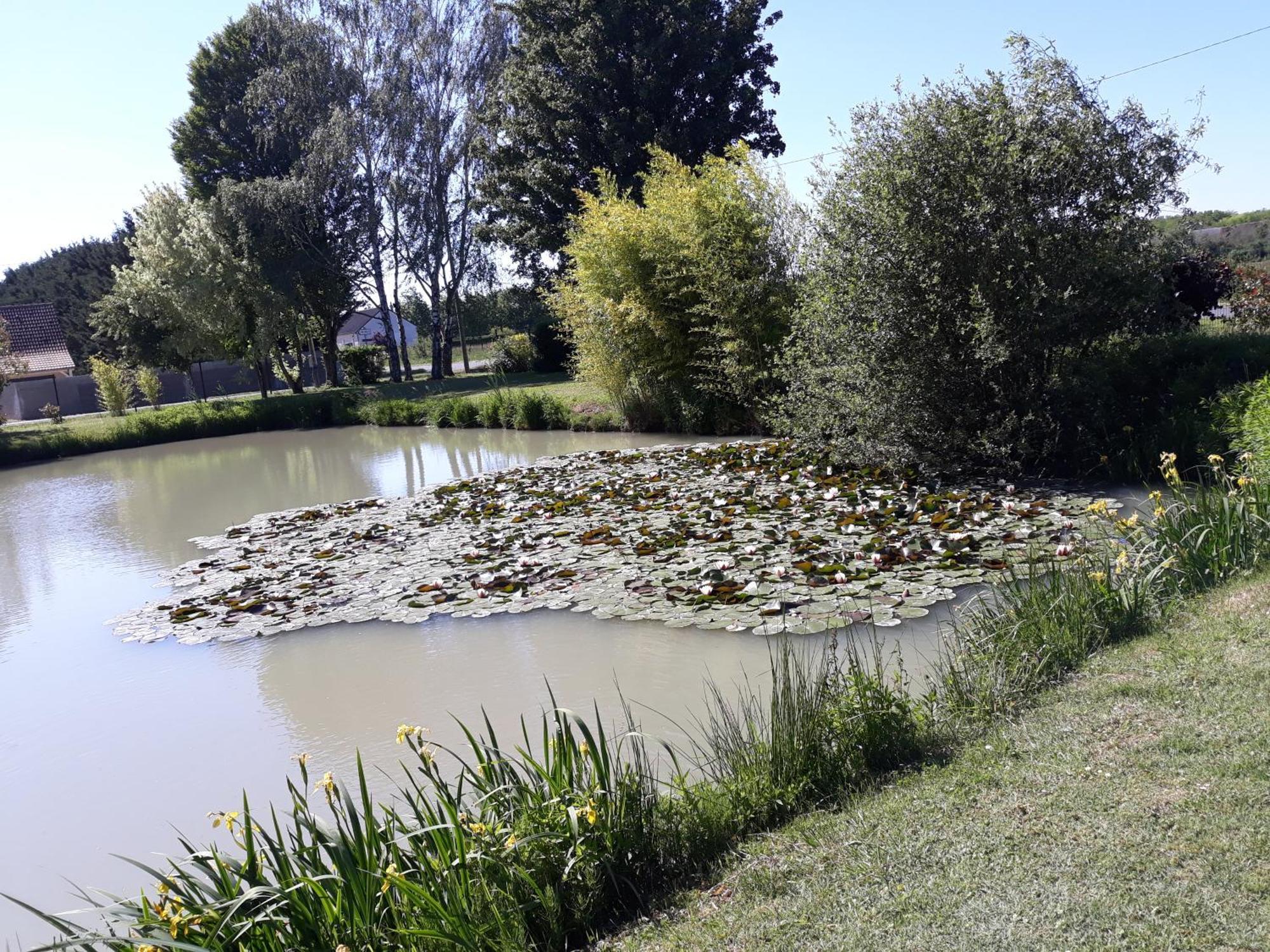 Comme A La Maison Pres Des Chateaux De La Loire Feings  ภายนอก รูปภาพ